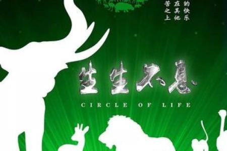 壮族节日如何体现生命与自然的和谐