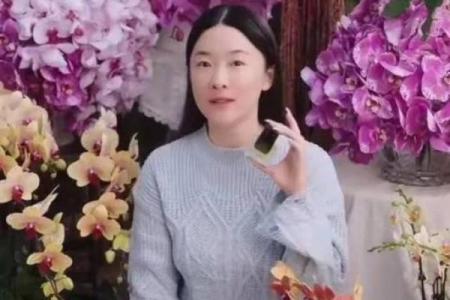 霍思燕的命理真相：如何从八字看她的人生转折