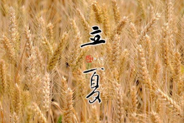 今日立夏：感受传统养生智慧，迎接夏日气息