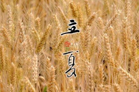 今日立夏：感受传统养生智慧，迎接夏日气息