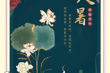 大暑节气与气候变化对身体的影响