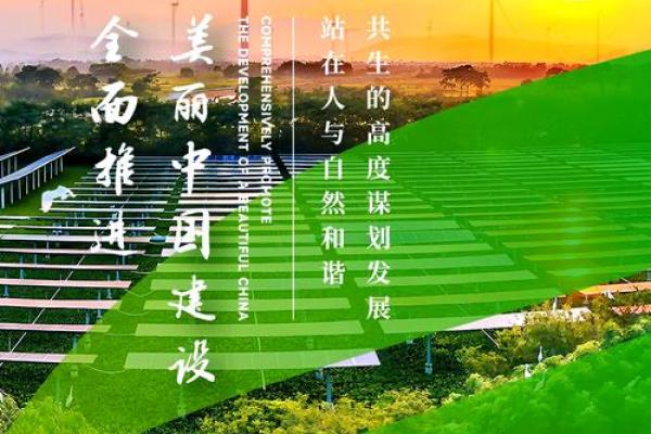 世界环境日：绿色节日文化与可持续发展实践