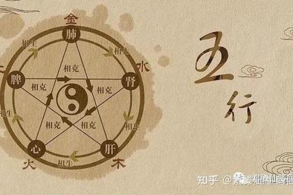 民字五行，性格解析新视角：如何改变命运，迈向成功？