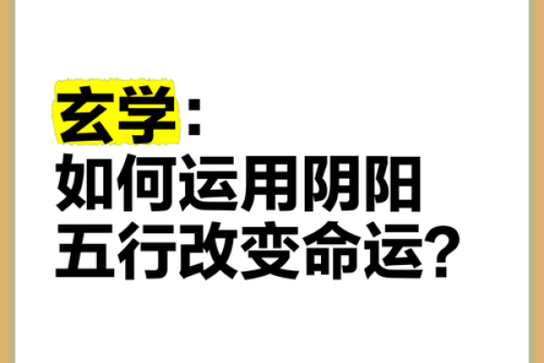 民字五行，性格解析新视角：如何改变命运，迈向成功？
