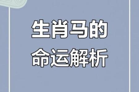 如何改变属马人的命运轨迹，破解命运背后的密码