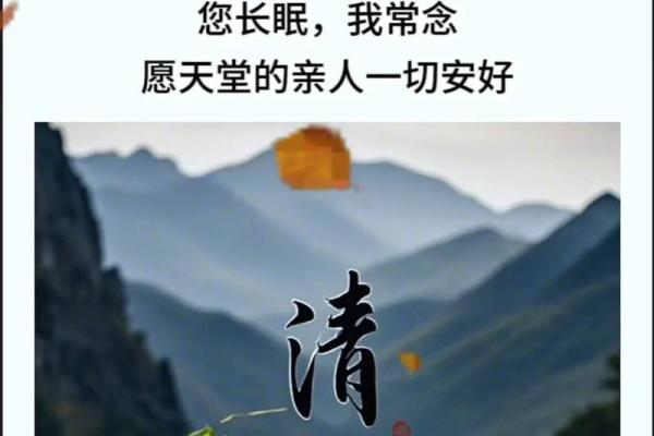 清明节送礼建议：缅怀先人，传递思念
