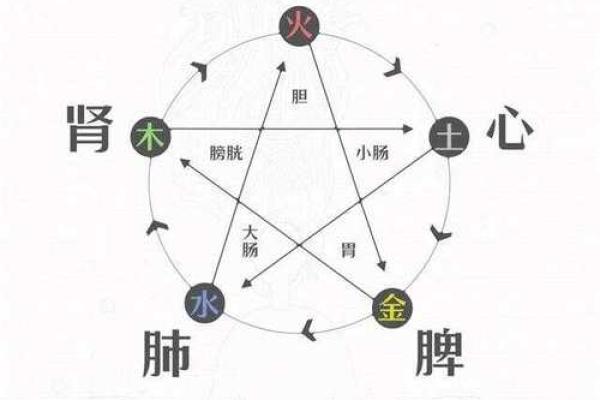 从逸看五行：揭秘性格塑造的实用之道