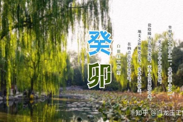 辛亥猪命理误区大揭秘：如何打破常规，反而能改变你的命运轨迹