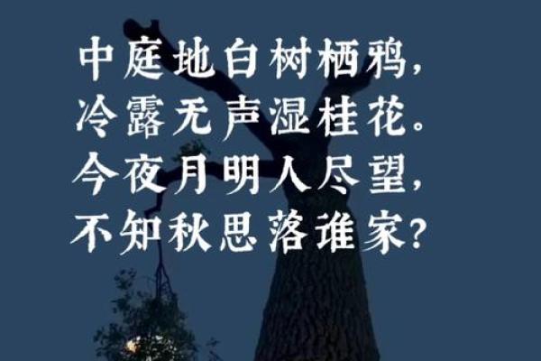中秋夜明月：古诗词中的团圆与思乡