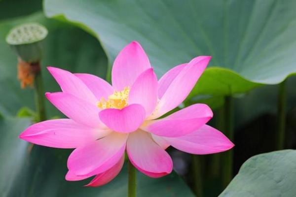 宋庆龄命理揭秘：误区与反思，如何让命运更顺畅