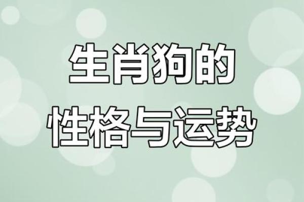 性格解析新视角：五行与狗，揭秘狗狗的神秘命运格局
