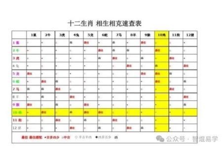 辛亥猪命理误区大揭秘：如何打破常规，反而能改变你的命运轨迹