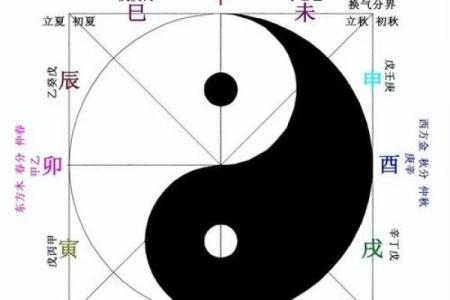 刘的五行格局，揭秘性格解析中的五大误区，反而这样做更有效