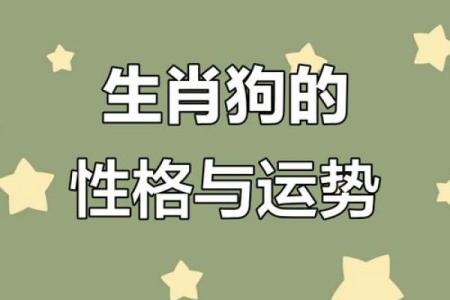 性格解析新视角：五行与狗，揭秘狗狗的神秘命运格局