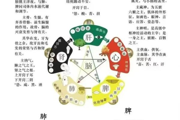 五行格局颠覆性分析：木土金相生，性格塑造新思路