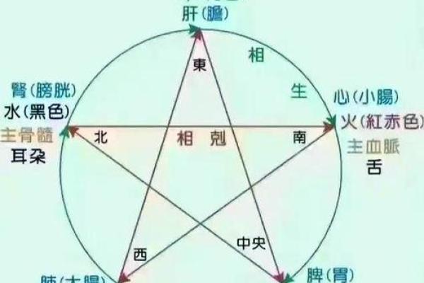五行性格解析颠覆传统：免费了解你的独特命运轨迹