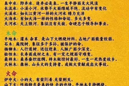 五行性格解析颠覆传统：免费了解你的独特命运轨迹