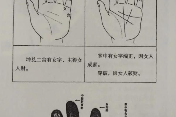 猴子属五行何方？揭秘性格密码，颠覆传统五行格局