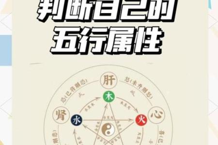 五行格局调整，揭秘如何提升个人魅力