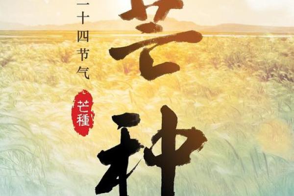 传承千年的节气与农耕文化