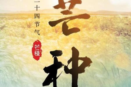 传承千年的节气与农耕文化