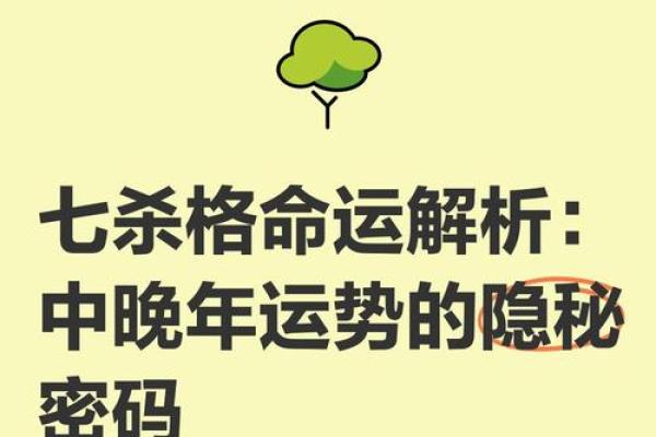 命运密码：如何通过命理寿数破解人生的隐秘玄机