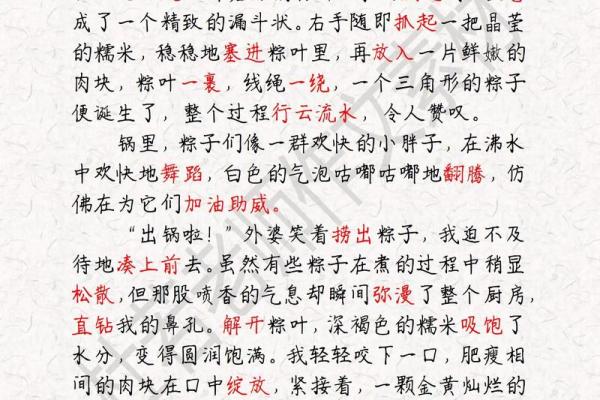 端午节的习俗与文化：解密粽子背后的故事