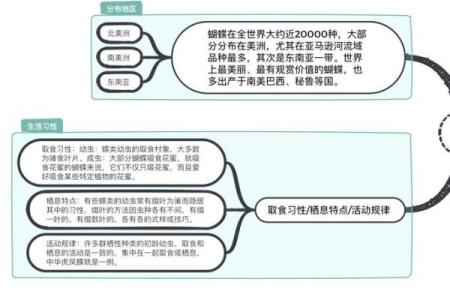 蝴蝶效应在五行中的体现：如何通过蝶变改变命运格局