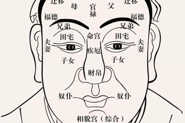 你的面相藏着命运密码，解读这些暗示如何改变你的未来