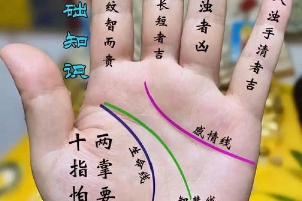胡杏儿的命运密码：如何破解八字中的暗藏玄机