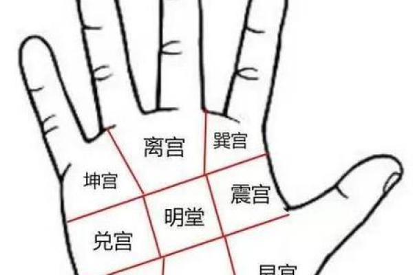 胡杏儿的命运密码：如何破解八字中的暗藏玄机