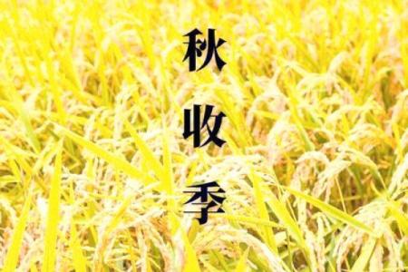 秋收时节：传统习俗与农耕文化的碰撞