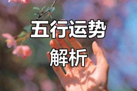 东字五行格局如何改变：轻松解锁你的运势密码