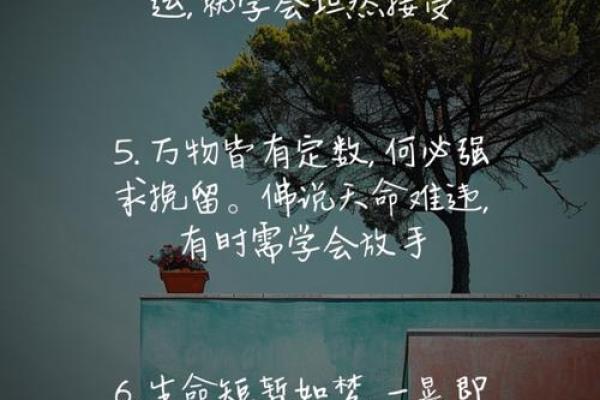 颠覆传统观念：属木之人，五行格局如何助你逆袭人生？