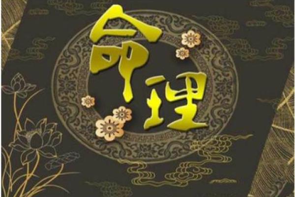 揭开小S八字命理的误区：命运密码的真相远比你想的复杂