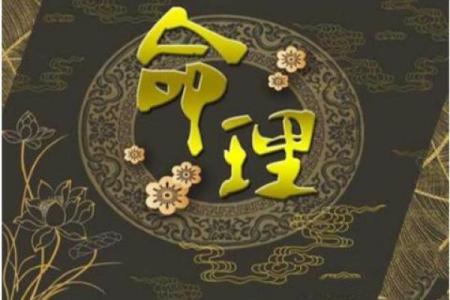 揭开小S八字命理的误区：命运密码的真相远比你想的复杂
