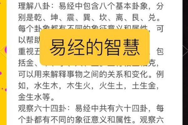 揭秘阳五行格局：你的性格密码如何影响命运？