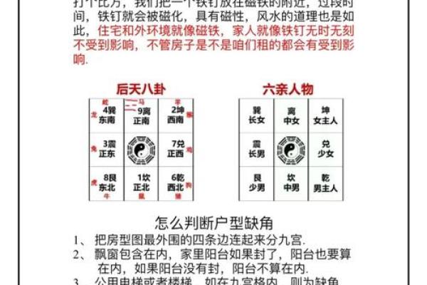 牛角五行格局揭秘：揭秘你的性格密码，如何改变命运？