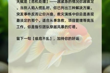 五行格局揭秘：走出缺养鱼性格误区，开启人生新篇章