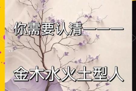 五行格局与命运：揭秘如何通过性格解析改变人生？