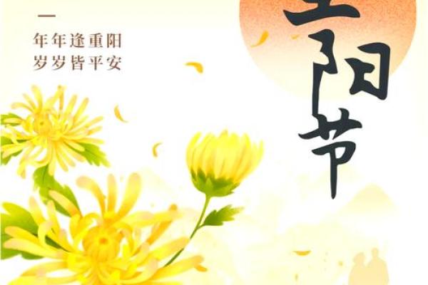 重阳节：登高赏菊与长寿养生的文化传承