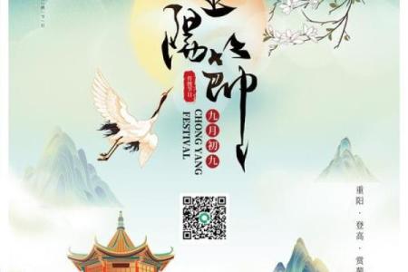 重阳节：登高赏菊与长寿养生的文化传承