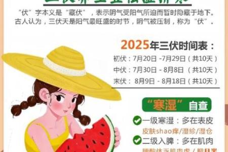 佳节的养生之道：如何在节日中保健身体