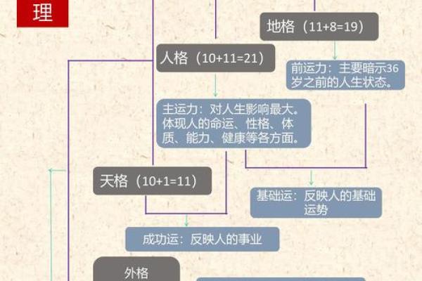 五行性格解析：行业成功人士的内在密码
