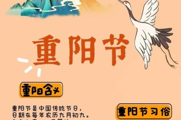 重阳节的天文密码：古人如何通过星象安排节庆活动