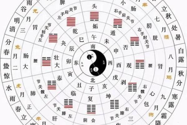 重阳节的天文密码：古人如何通过星象安排节庆活动