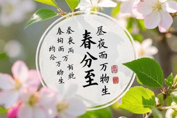 春分时节：天文与农业的完美对接