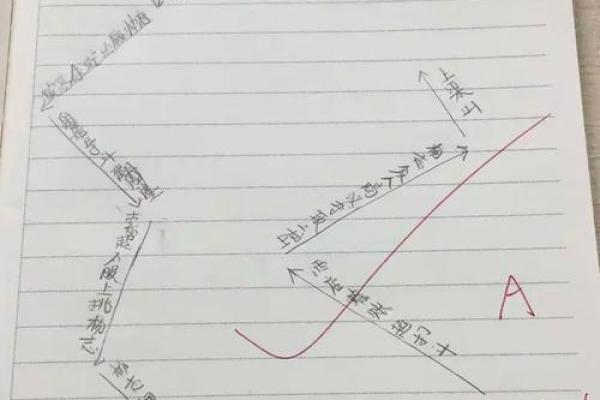 命运密码解锁：官旺格如何改变你的人生轨迹