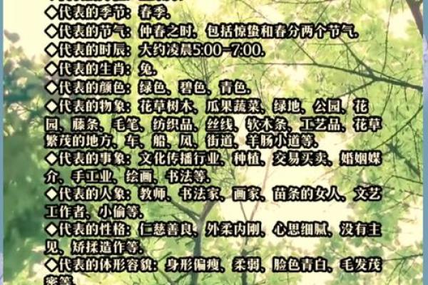 卯五行性格解析：揭秘你的内在潜能与成长路径