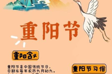 重阳节的天文密码：古人如何通过星象安排节庆活动